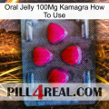 Oral Jelly 100Mg Kamagra How To Use 13